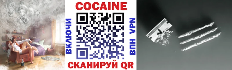купить  цена  Ковдор  mega как войти  Cocaine Эквадор 