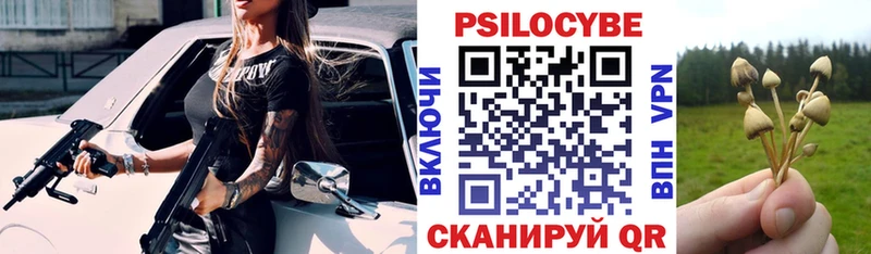 Галлюциногенные грибы Psilocybe  как найти закладки  Ковдор 