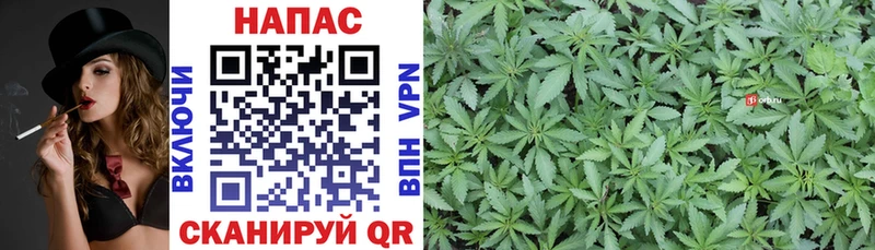 Шишки марихуана SATIVA & INDICA Ковдор